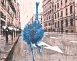 agnelo accardi 007